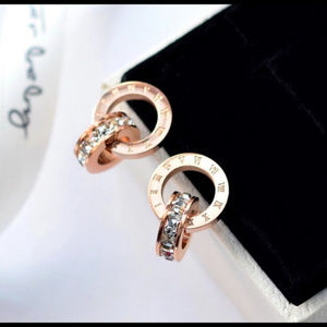 Roman numerals stainless steel earrings